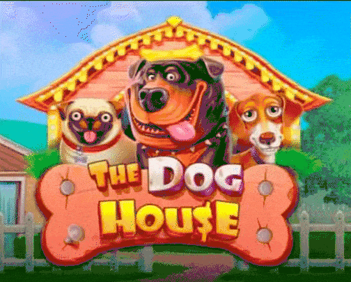 play The Dog House in betscore casino
